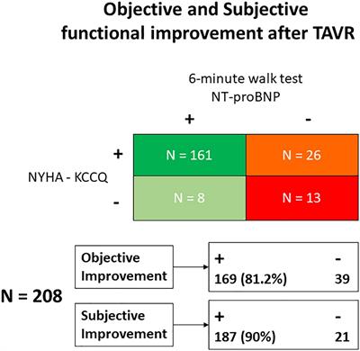 A new integrative approach to assess aortic stenosis burden and predict objective functional improvement after TAVR